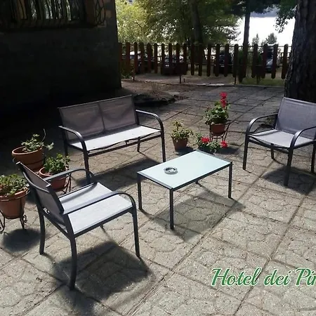 Hotel Dei Pini 2*
